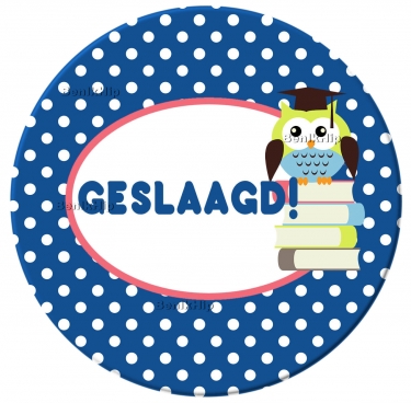 Button 56 mm Geslaagd boeken